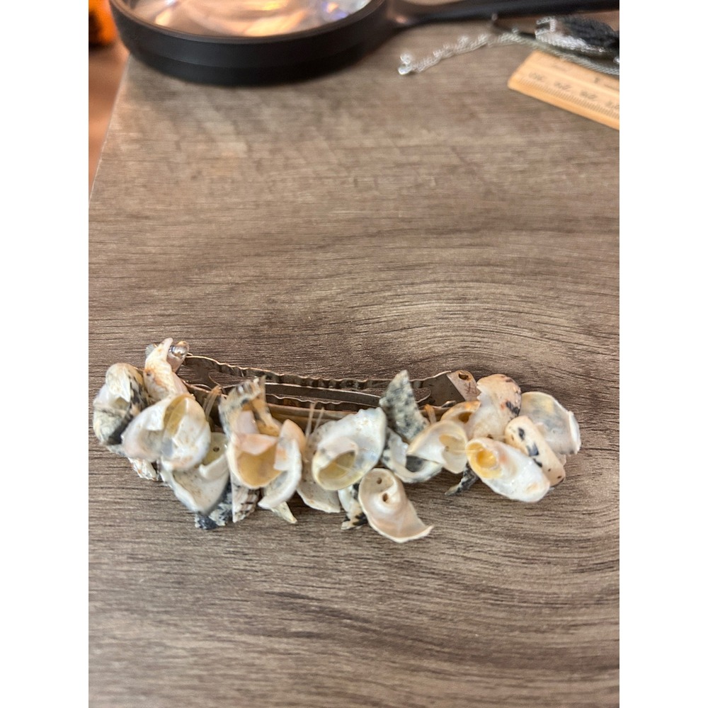 Vintage Natural Seashell Barrette‎ Hair Clip Silver Tone Coastal Beach Boho 3.5"